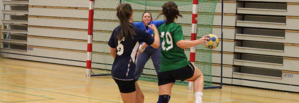 Bedriftsserie i håndball (damer)
